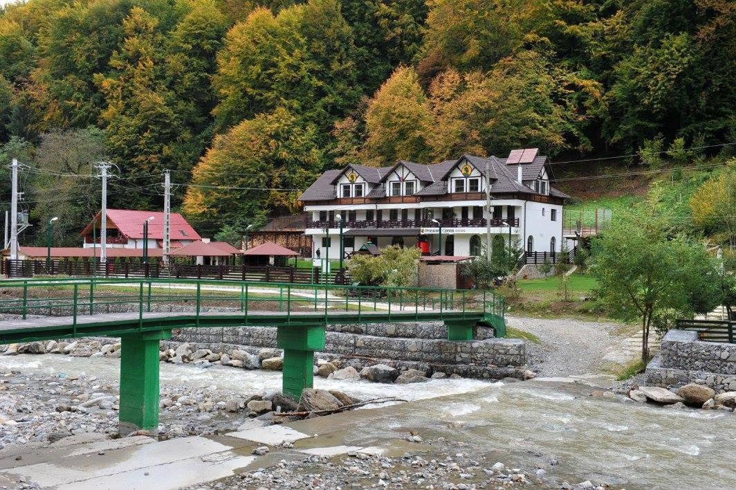 Pensiunea Ciprian Curtea de Argeş Dış mekan fotoğraf